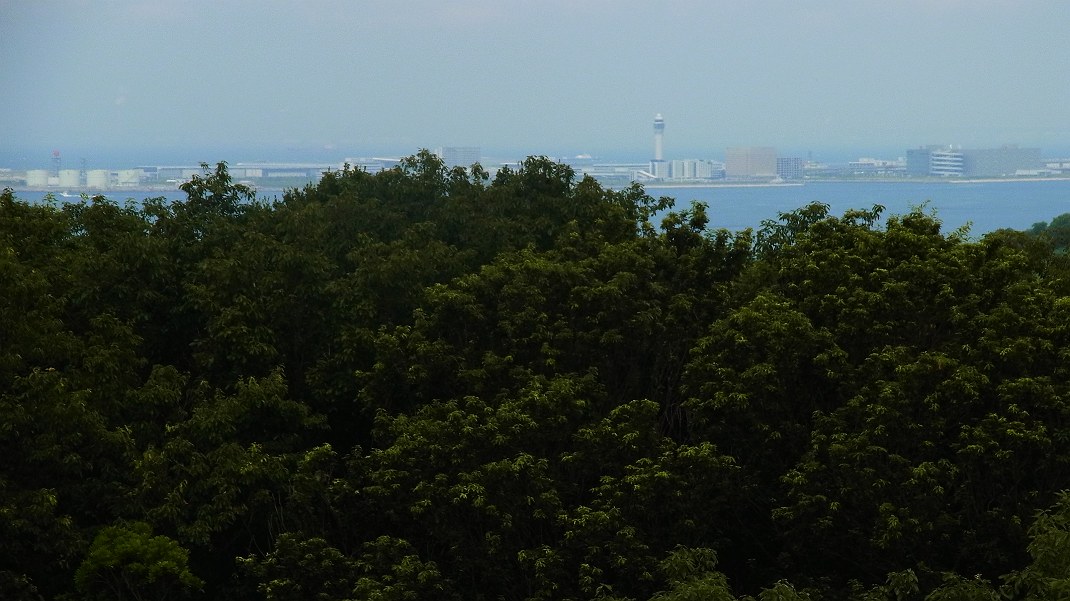 a0152692_20271057.jpg
