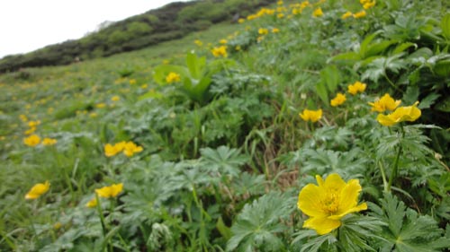 白峰三山縦走　　北岳　間ノ岳　農鳥岳_a0157297_0372394.jpg