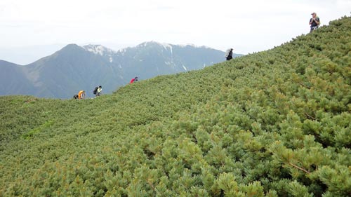 白峰三山縦走　　北岳　間ノ岳　農鳥岳_a0157297_0372552.jpg