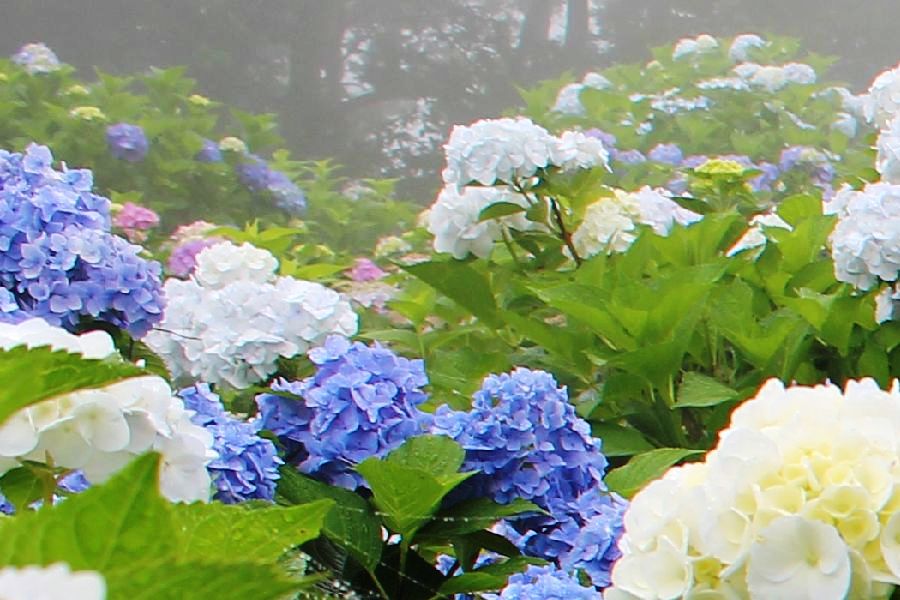 d0069498_21233013.jpg