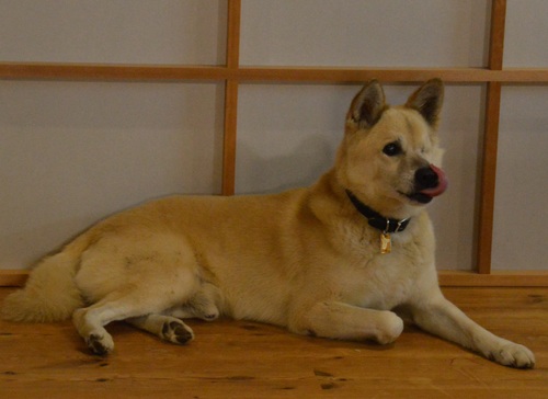 c0124100_22372467.jpg