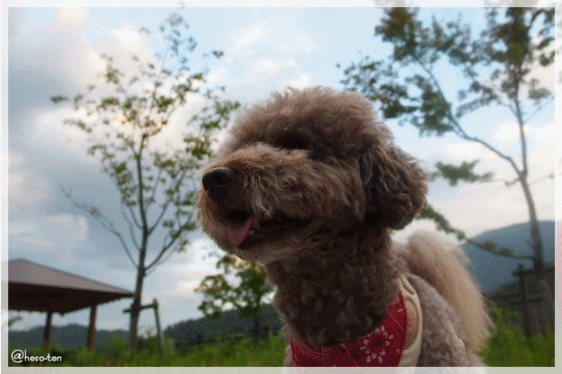e0307102_10435995.gif