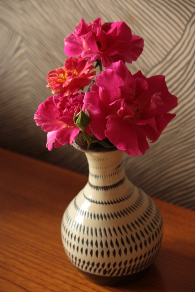 d0001008_62161.jpg
