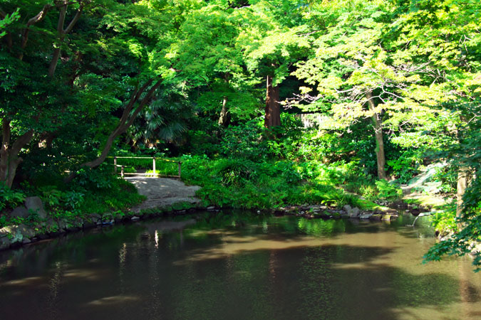 a0263109_13385329.jpg