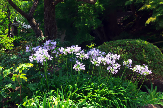 a0263109_16433915.jpg