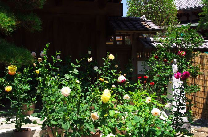 a0263109_1643896.jpg