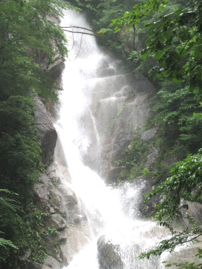e0003910_1422185.jpg