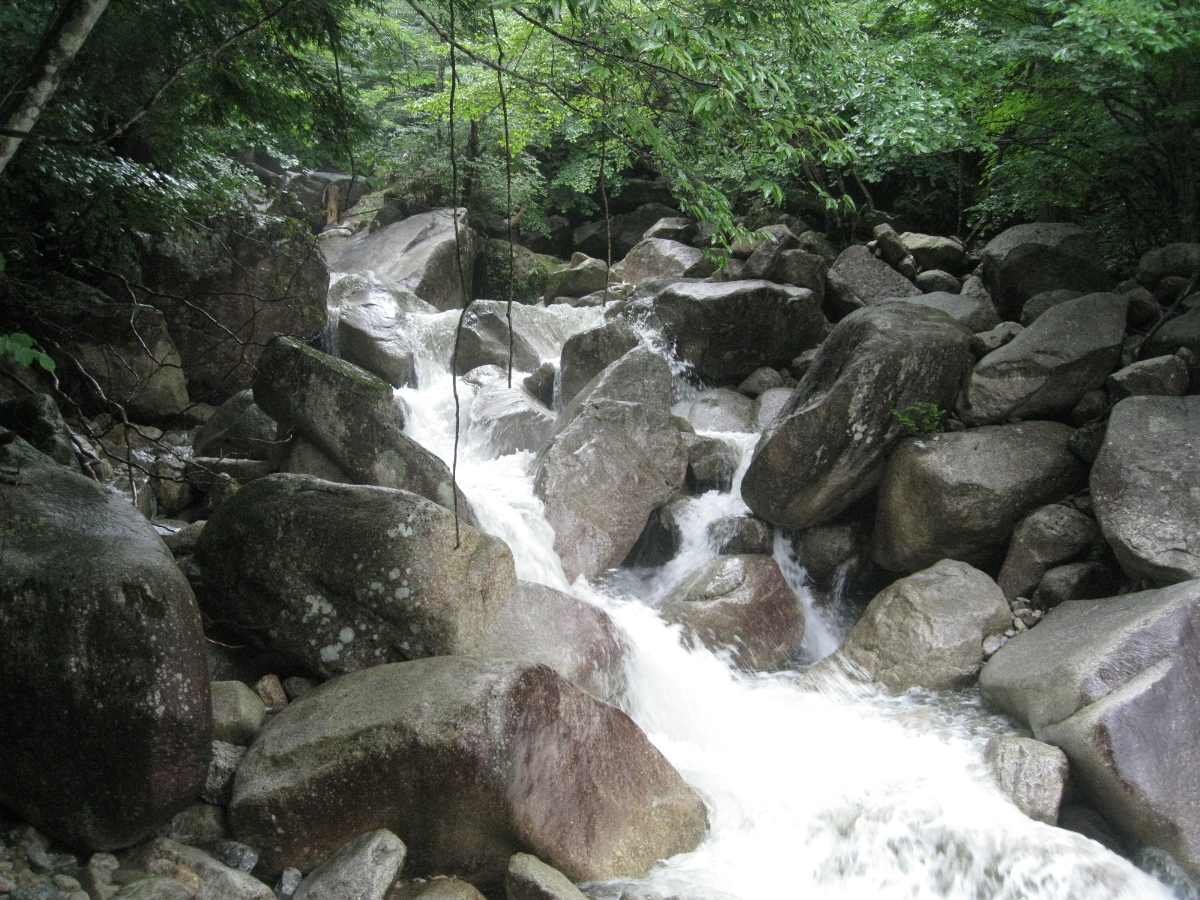 e0003910_14341648.jpg