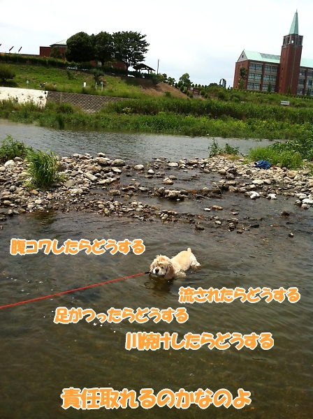 b0067012_14363636.jpg