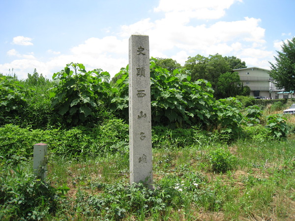 d0287413_2031135.jpg
