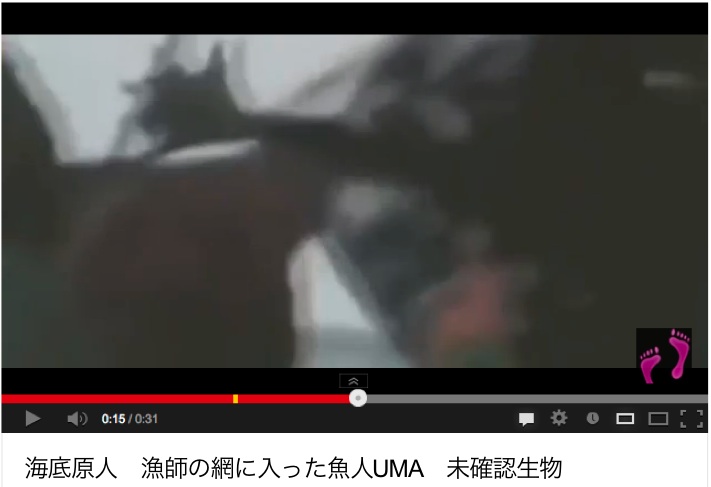 人魚の新たなる証拠「Mermaid New Evidence」2:海底原人=海坊主だった!?_e0171614_2050555.jpg