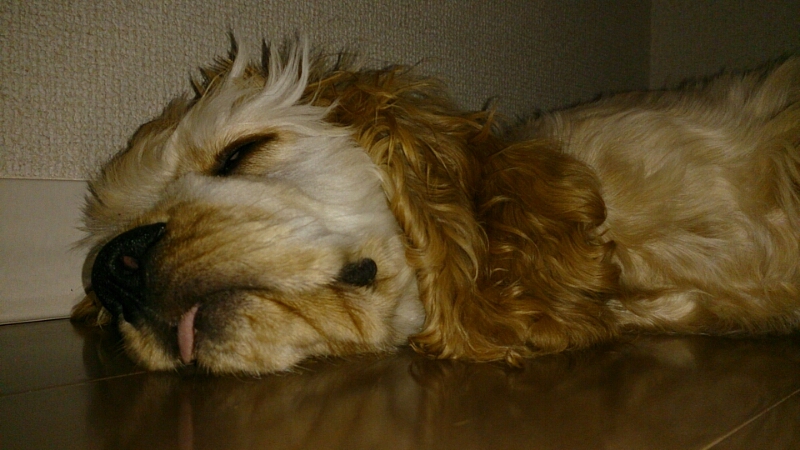 c0294716_1521161.jpg