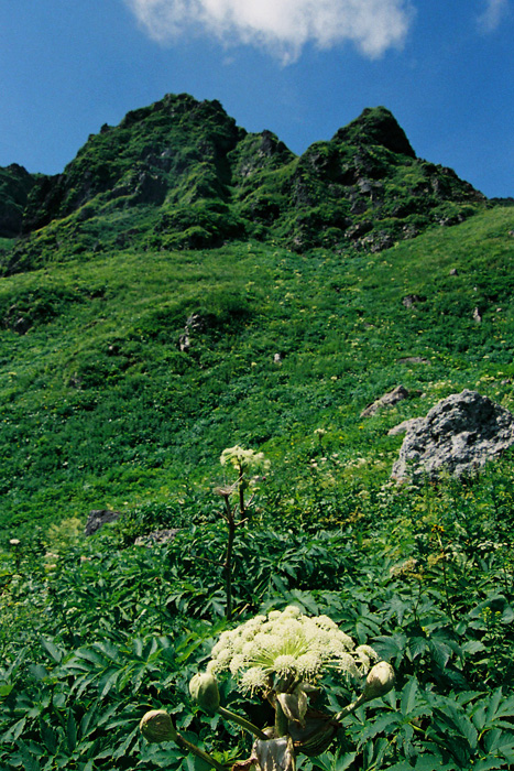 b0244424_1333289.jpg