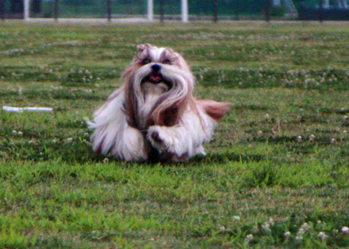 c0028424_1133297.jpg