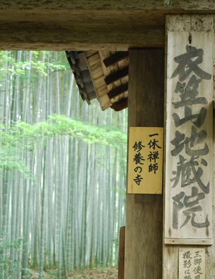 竹の寺 ~ 地蔵院 (京都) ~_c0235725_044502.jpg