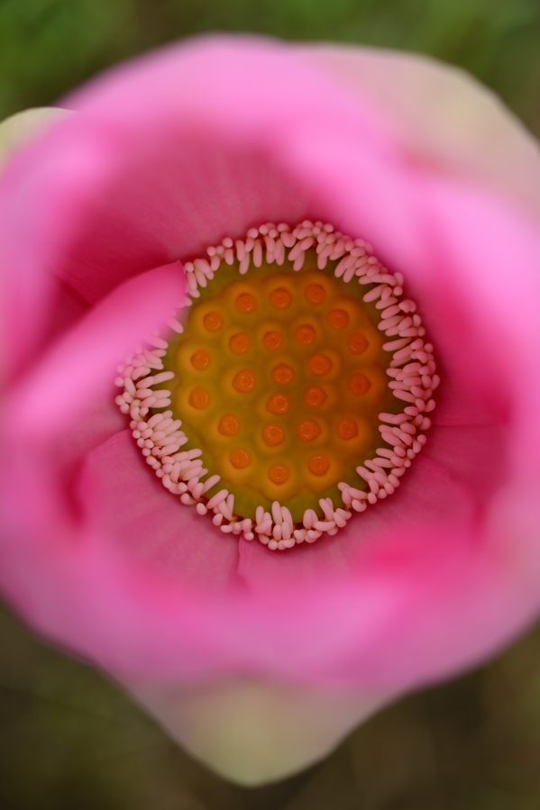 e0037126_23382949.jpg