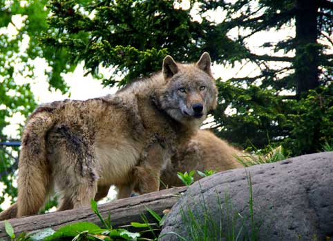 動物園にて_c0098228_1301935.jpg