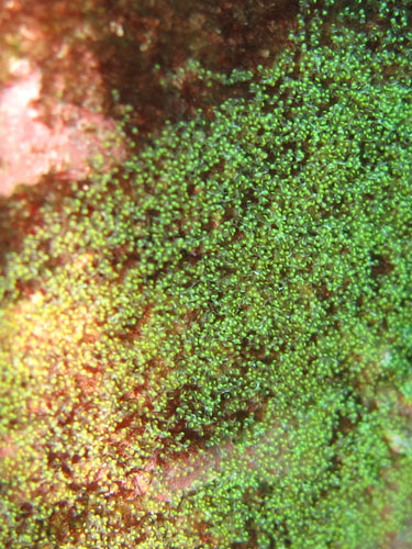 2013年7月18日(木・晴れ)室戸_d0164831_1816444.jpg