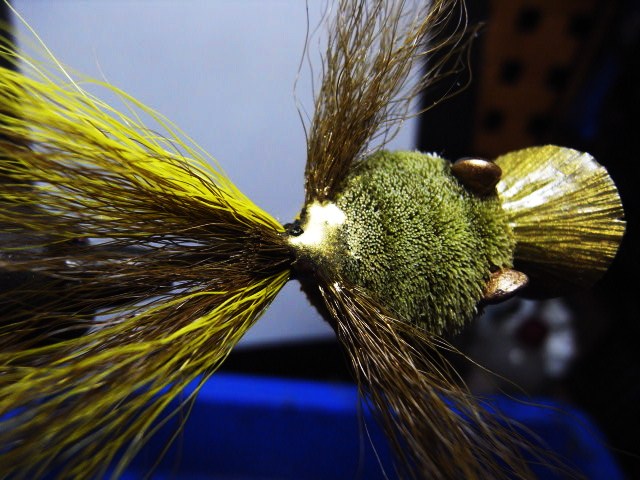 c0153951_22331.jpg