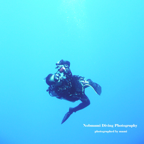 d0237353_1618472.jpg