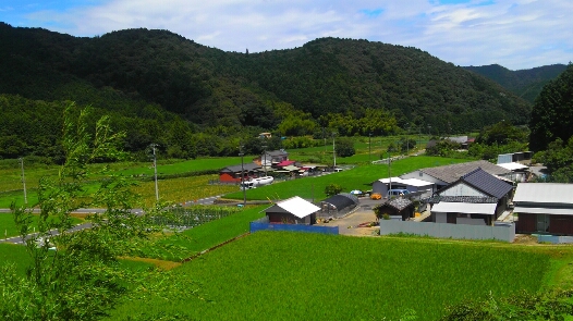 e0294855_8495535.jpg