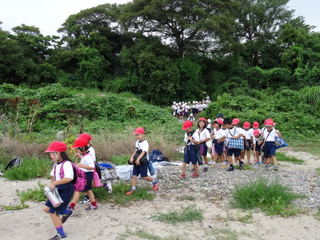 箱作小学校2年生「磯の生き物観察」サポート in 箱作自然海岸_c0108460_22312915.jpg
