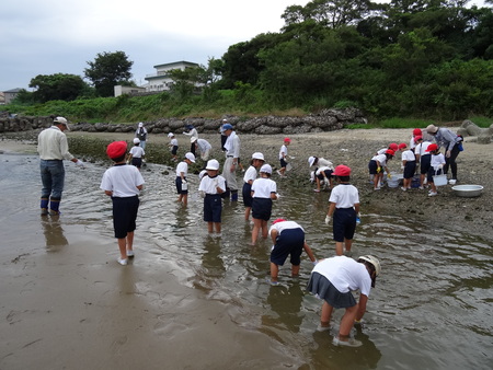 箱作小学校2年生「磯の生き物観察」サポート in 箱作自然海岸_c0108460_22404170.jpg