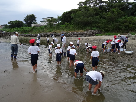 箱作小学校２年生「磯の生き物観察」サポート　　in  箱作自然海岸_c0108460_22404170.jpg