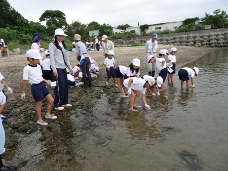 箱作小学校2年生「磯の生き物観察」サポート in 箱作自然海岸_c0108460_2246466.jpg