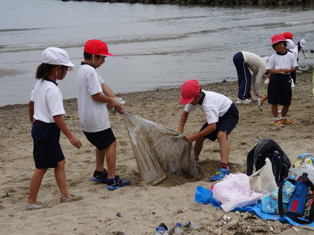 箱作小学校2年生「磯の生き物観察」サポート in 箱作自然海岸_c0108460_22471736.jpg