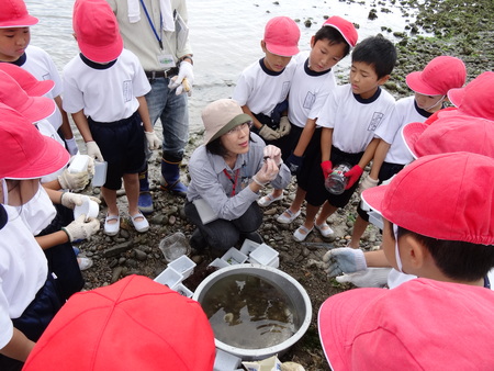 箱作小学校２年生「磯の生き物観察」サポート　　in  箱作自然海岸_c0108460_22581498.jpg