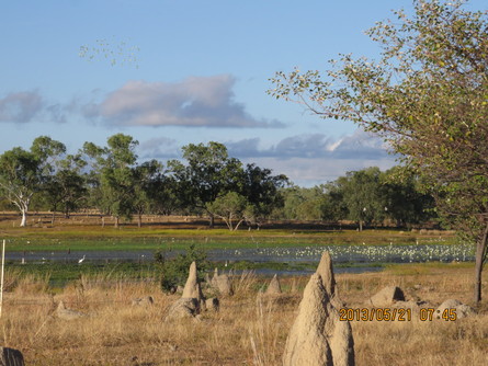f0196665_94508.jpg