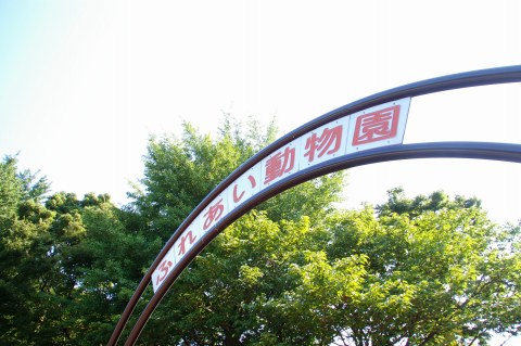 e0045768_22123082.jpg