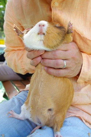 平塚「ふれあい動物園」、前編_e0045768_2220582.jpg