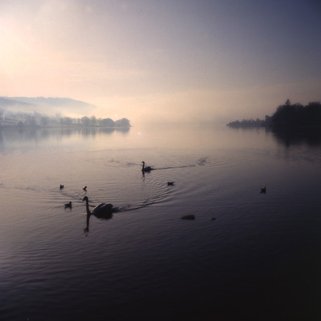 b0011771_4355621.jpg