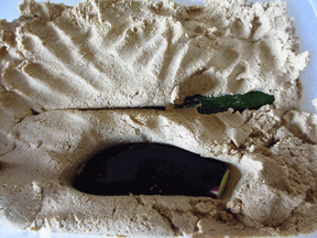f0110488_23262494.gif