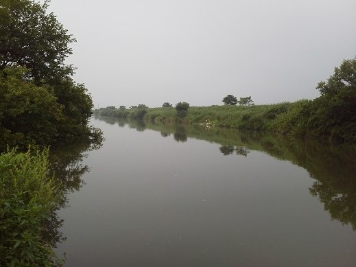 f0119889_14553587.jpg