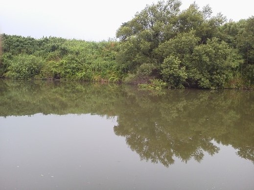 f0119889_1455996.jpg