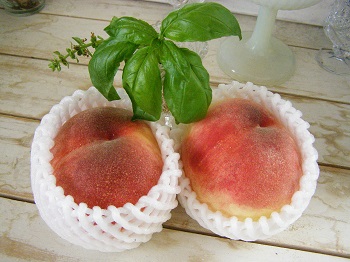 ハーブ料理_d0233891_1441239.jpg