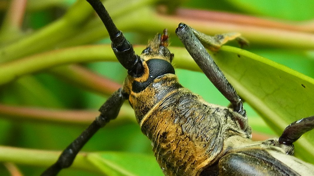 a0152692_1822148.jpg