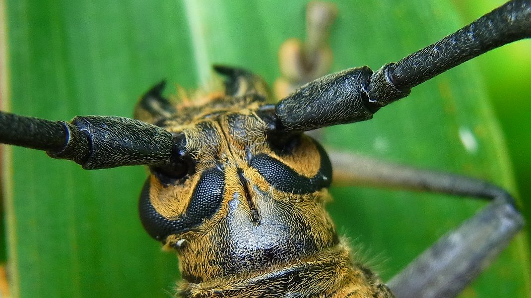 a0152692_18244253.jpg