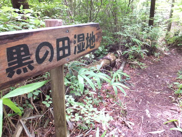 a0271502_21115229.jpg
