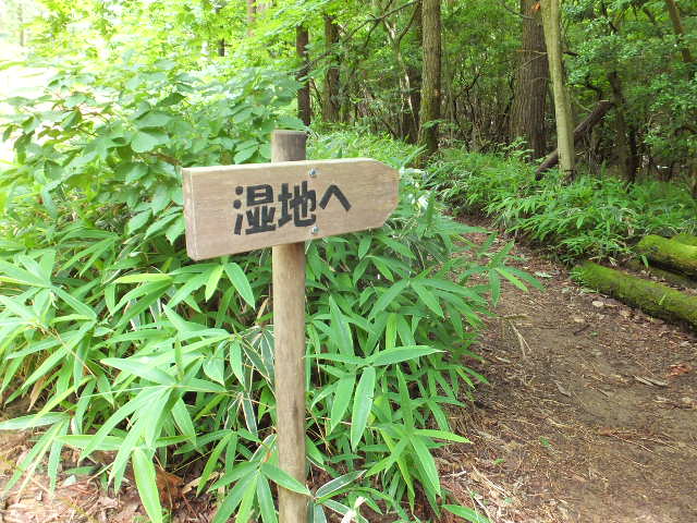 a0271502_21162524.jpg