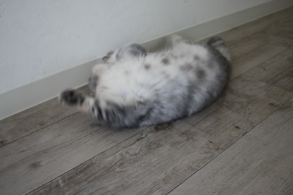 無垢ではなく。。_c0178104_843484.jpg