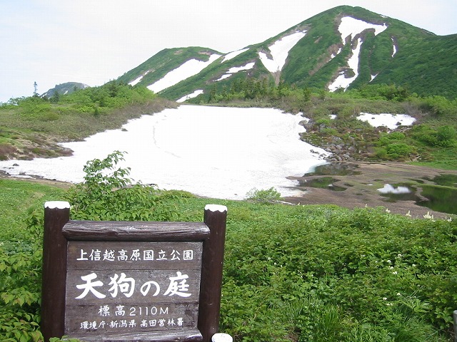 火打山　笹ヶ峰　妙高市　3/5_f0191007_118952.jpg