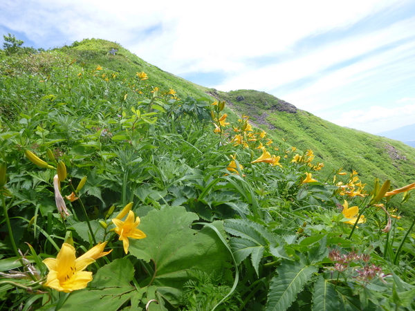 花の三ノ峰　（２，１２８M)　に登る　　完_d0170615_11364362.jpg