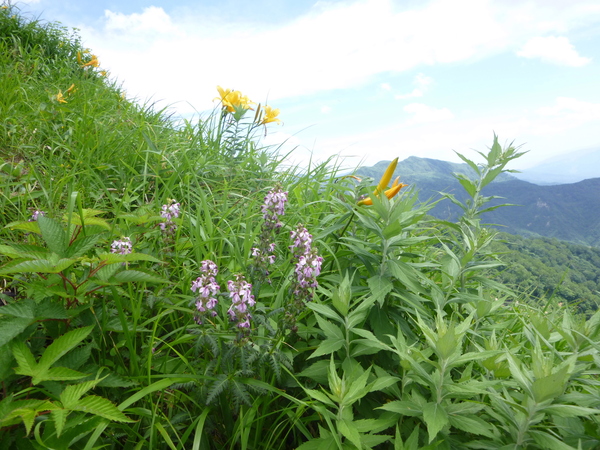 花の三ノ峰　（２，１２８M)　に登る　　完_d0170615_11372341.jpg