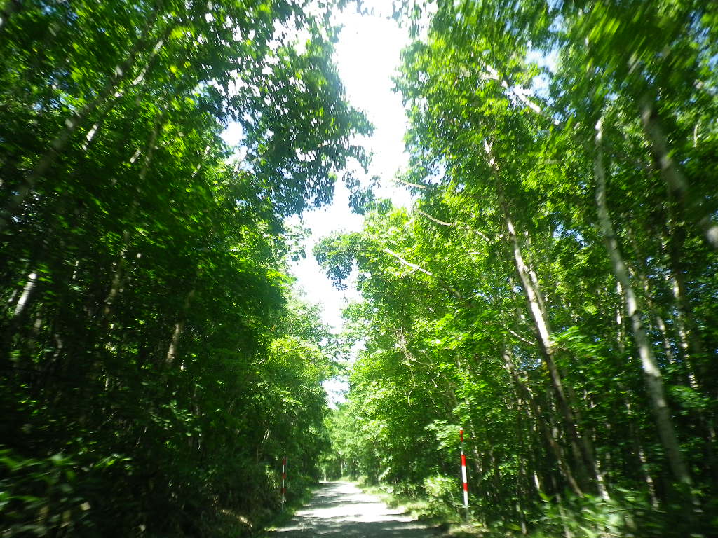 e0052716_11542667.jpg