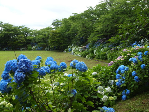 b0147224_20565883.jpg