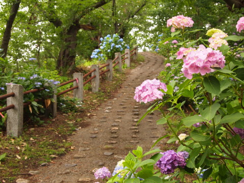 b0147224_2133668.jpg